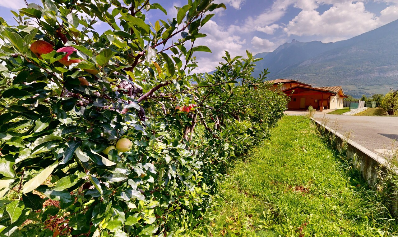 garten mit blick auf die berge, mountain view, und property visible