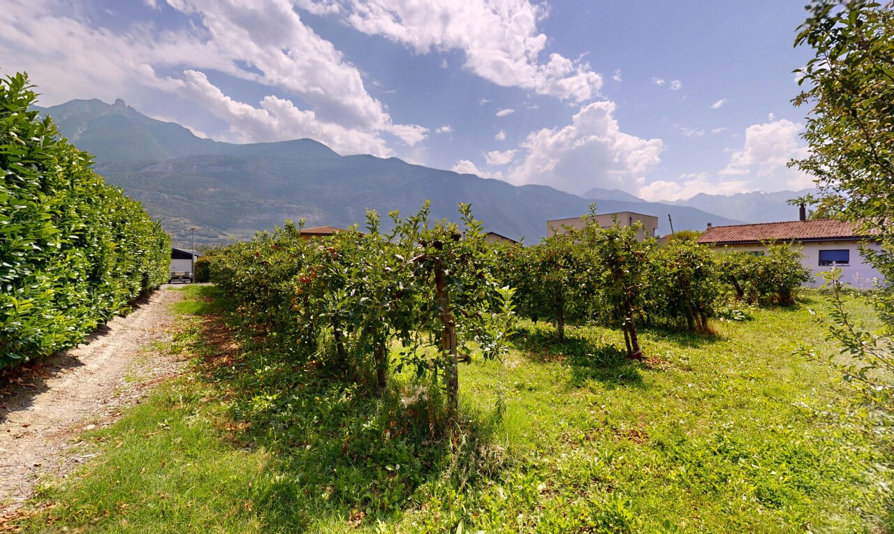 blick auf die berge mit blick auf die berge, mountain view, und day time