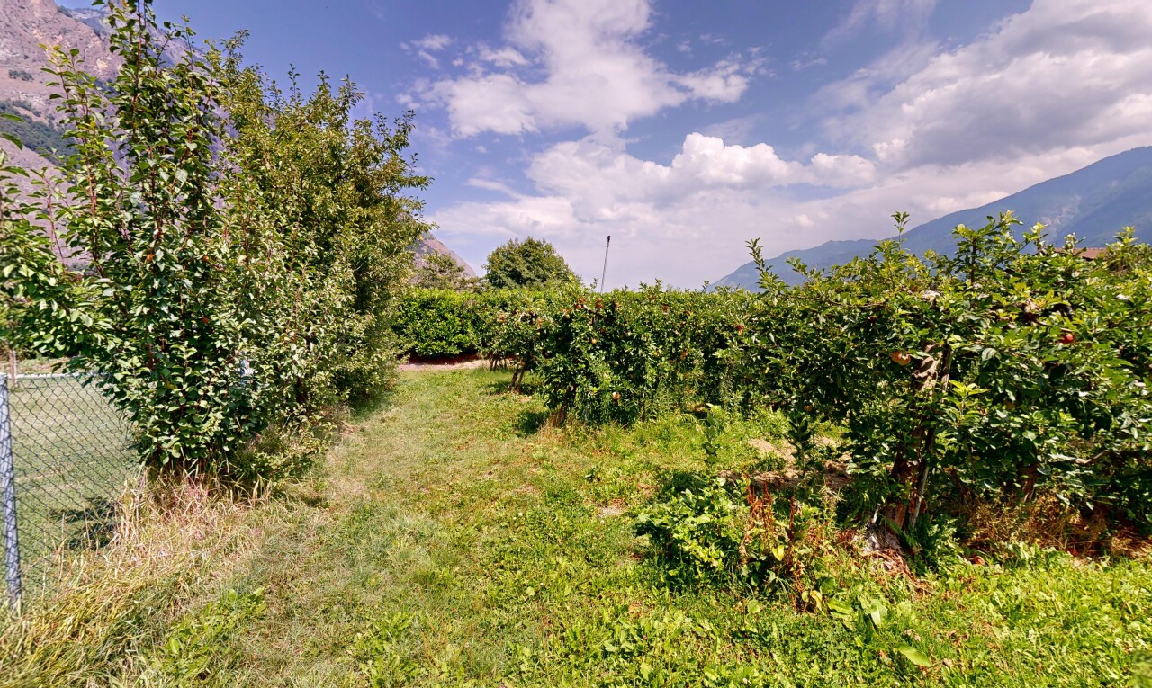 garten mit unknown und day time