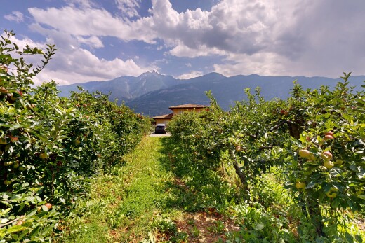 vue sur la montagne avec vue sur la montagne et mountain view