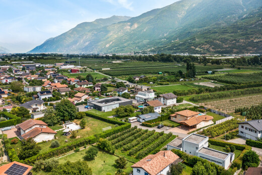 vue sur la montagne avec orchard / agricultural view, vue sur le verger/agriculture, mountain view, vue sur la montagne, et rural view