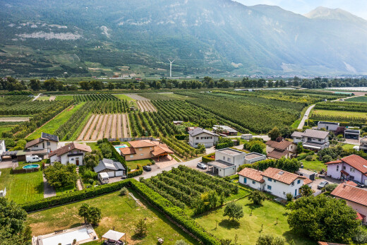 vue sur la montagne avec vue sur le verger/agriculture, orchard / agricultural view, vue sur la montagne, mountain view, et vue rurale