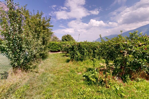 jardin avec unknown et day time