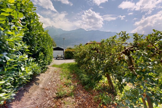 jardin avec vue sur la montagne, mountain view, et day time