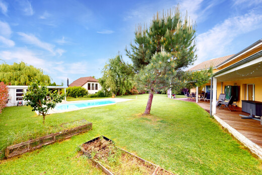 garten mit rasen, deck, schwimmbad, und day time