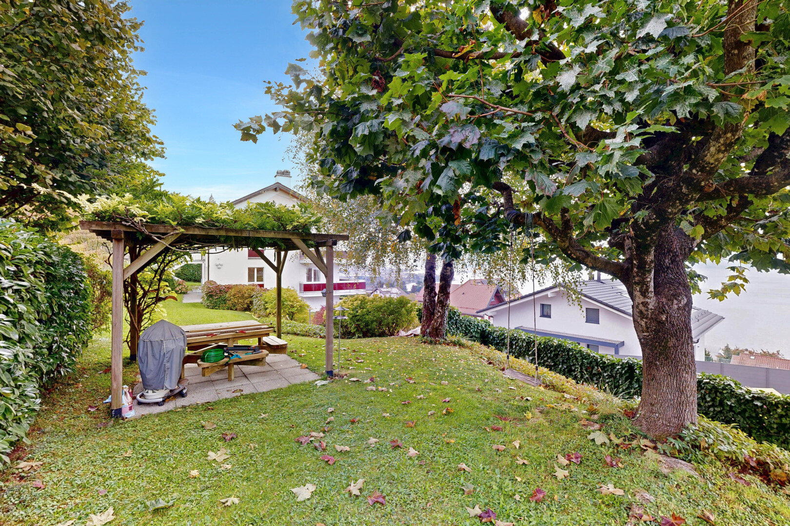 jardin avec terrasse, day time, et pelouse