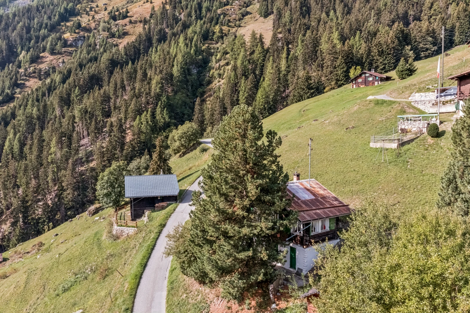 vue sur la montagne avec forest view et vue sur la forêt
