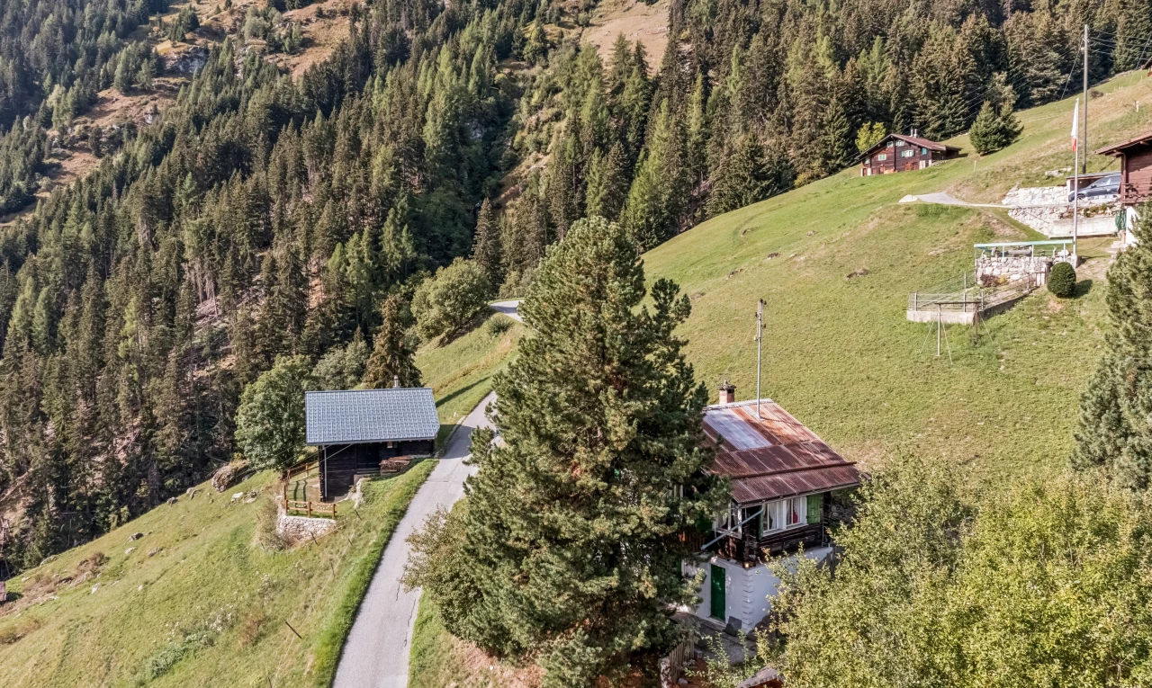 vue sur la montagne avec forest view et vue sur la forêt