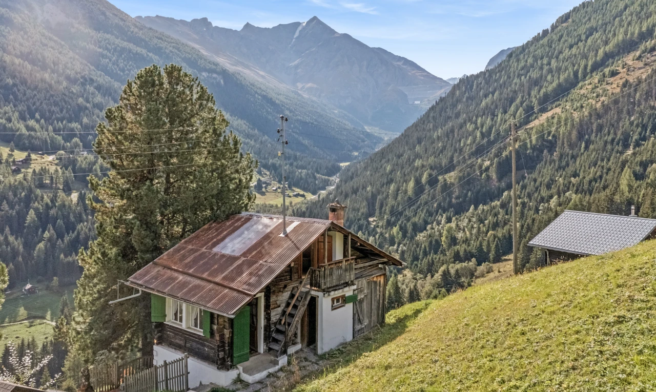 vue sur la montagne avec mountain view, vue sur la montagne, day time, et vue sur la forêt