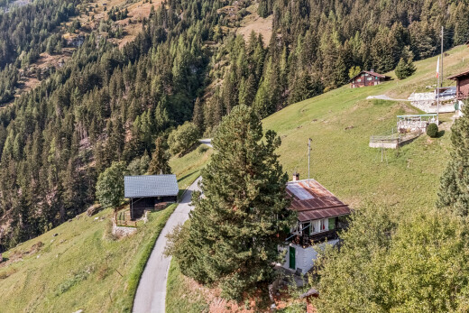 vue sur la montagne avec forest view et vue sur la forêt
