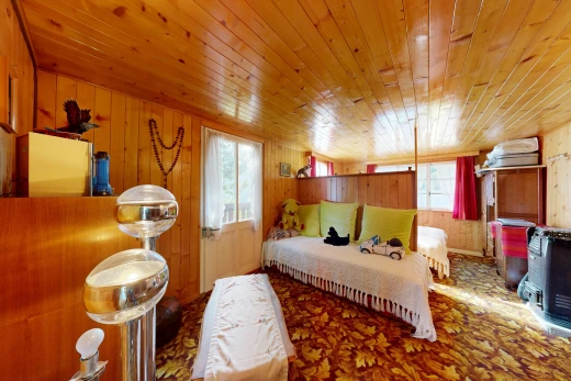 chambre avec dated wood wall, mur en bois, wood wall, moquette, et carpet