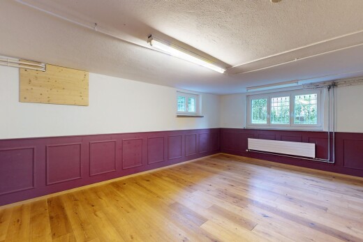 leerer raum mit keller, wood finish floor, holzfußboden, paneling wall, und wandvertäfelung