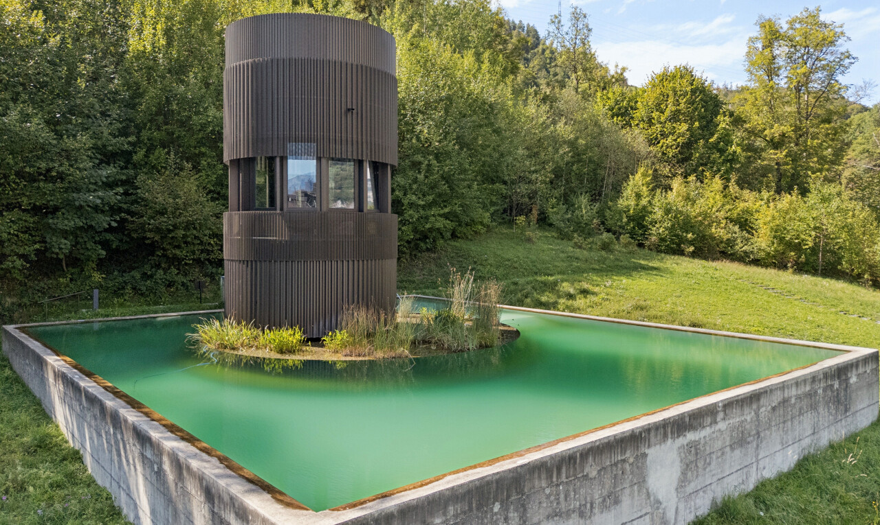 schwimmbad mit rasen