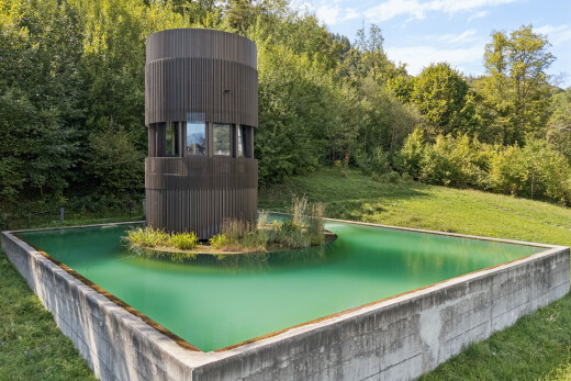 schwimmbad mit rasen