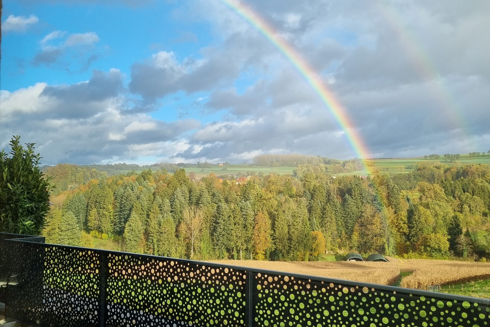 mountain view featuring a forest