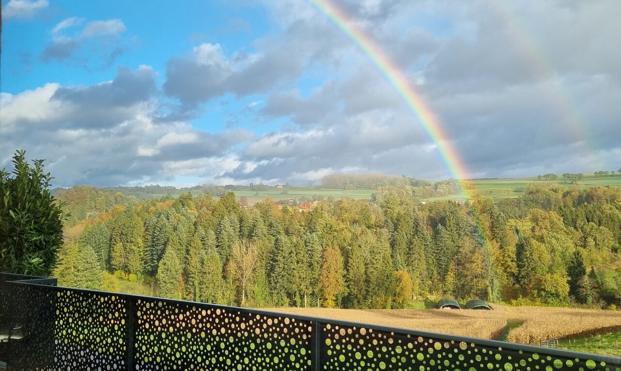 mountain view featuring a forest