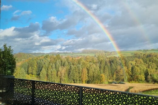 vue sur la montagne avec from property, forest view, vue sur la forêt, et day time