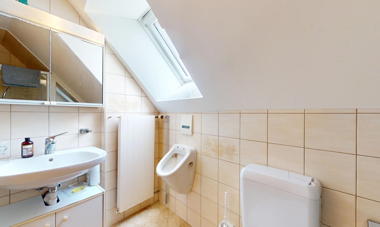 salle de bains avec mur en carrelage, tile wall, puits de lumière, plafond voûté, et vaulted ceiling