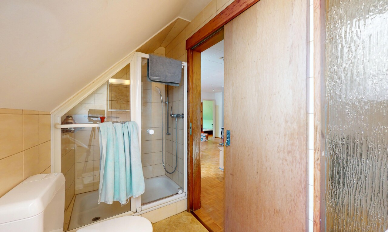salle de bains avec plafond voûté, vaulted ceiling, douche, plafond bas, et low ceiling