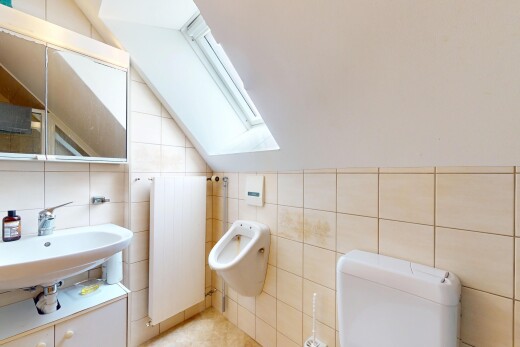 salle de bains avec mur en carrelage, tile wall, puits de lumière, plafond voûté, et vaulted ceiling