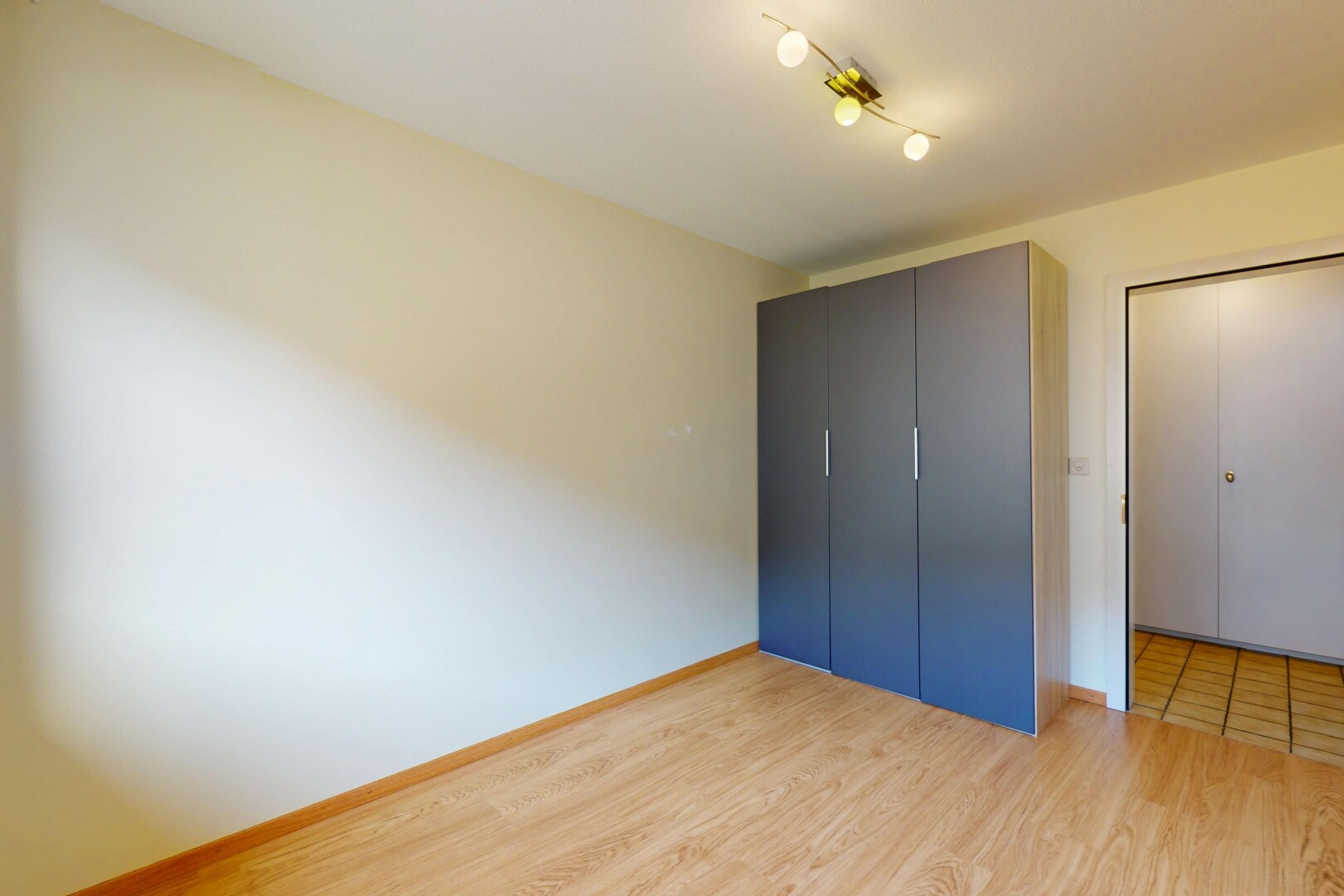 chambre avec plinthes murales, sol en finition bois, et cloison sèche