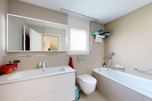 bad mit toilette, spiegel, bad, natürliches licht, und schminktisch