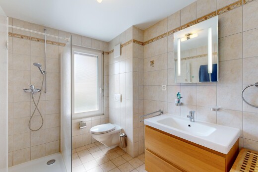bad mit tile wall, fliesenwand, schminktisch, komplettes badezimmer, und dusche