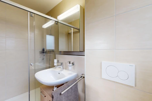 salle de bains avec crédence, miroir, douche, mur carrelé, et vasque