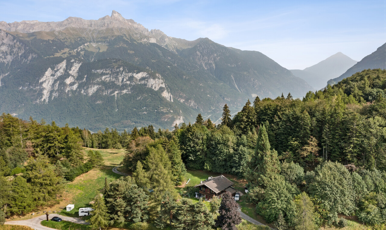 vue sur la montagne avec vue sur la montagne, mountain view, vue sur la forêt, forest view, et day time