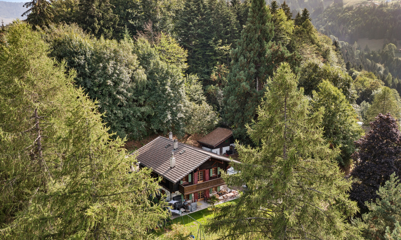 façade avec vue sur la forêt, forest view, et property visible