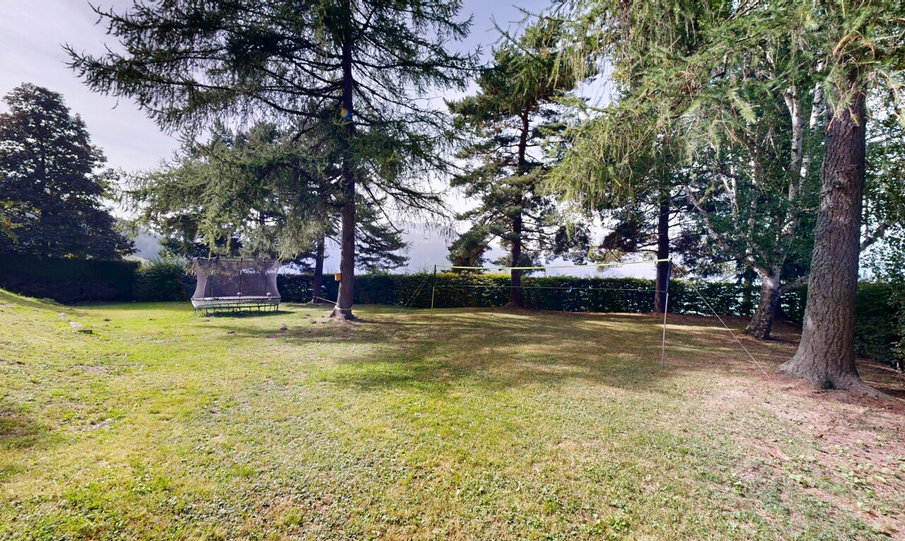 jardin avec pelouse