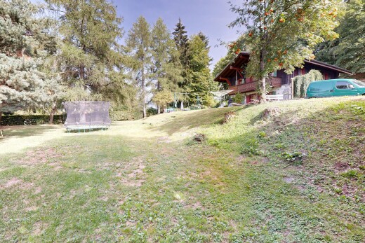 jardin avec pelouse, property visible, trampoline, et day time