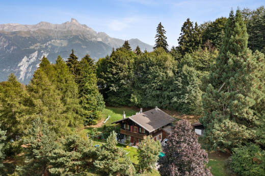 vue sur la montagne avec property visible, forest view, vue sur la forêt, mountain view, et vue sur la montagne