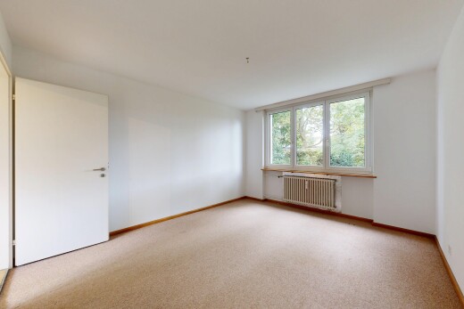 leerer raum mit gipskartonwand, drywall, natürliches licht, natural light, und teppich