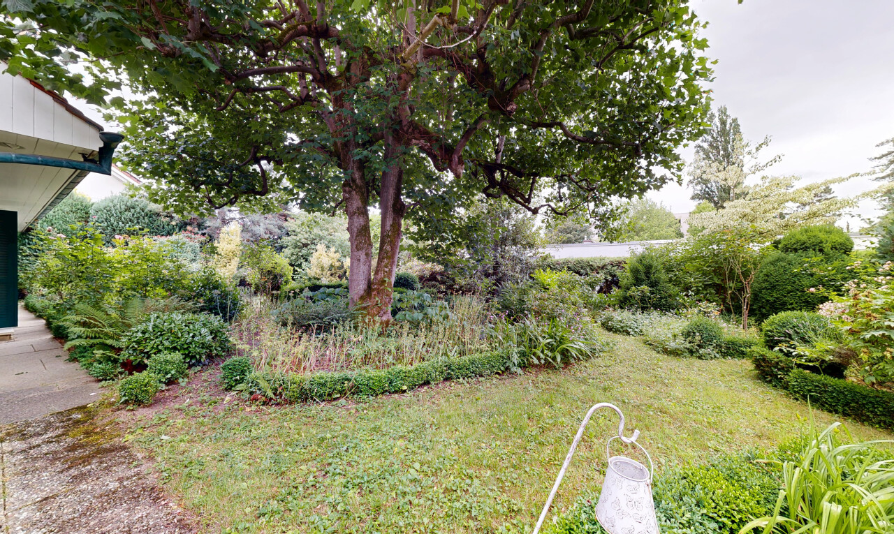 garten mit from property, rasen, und overcast