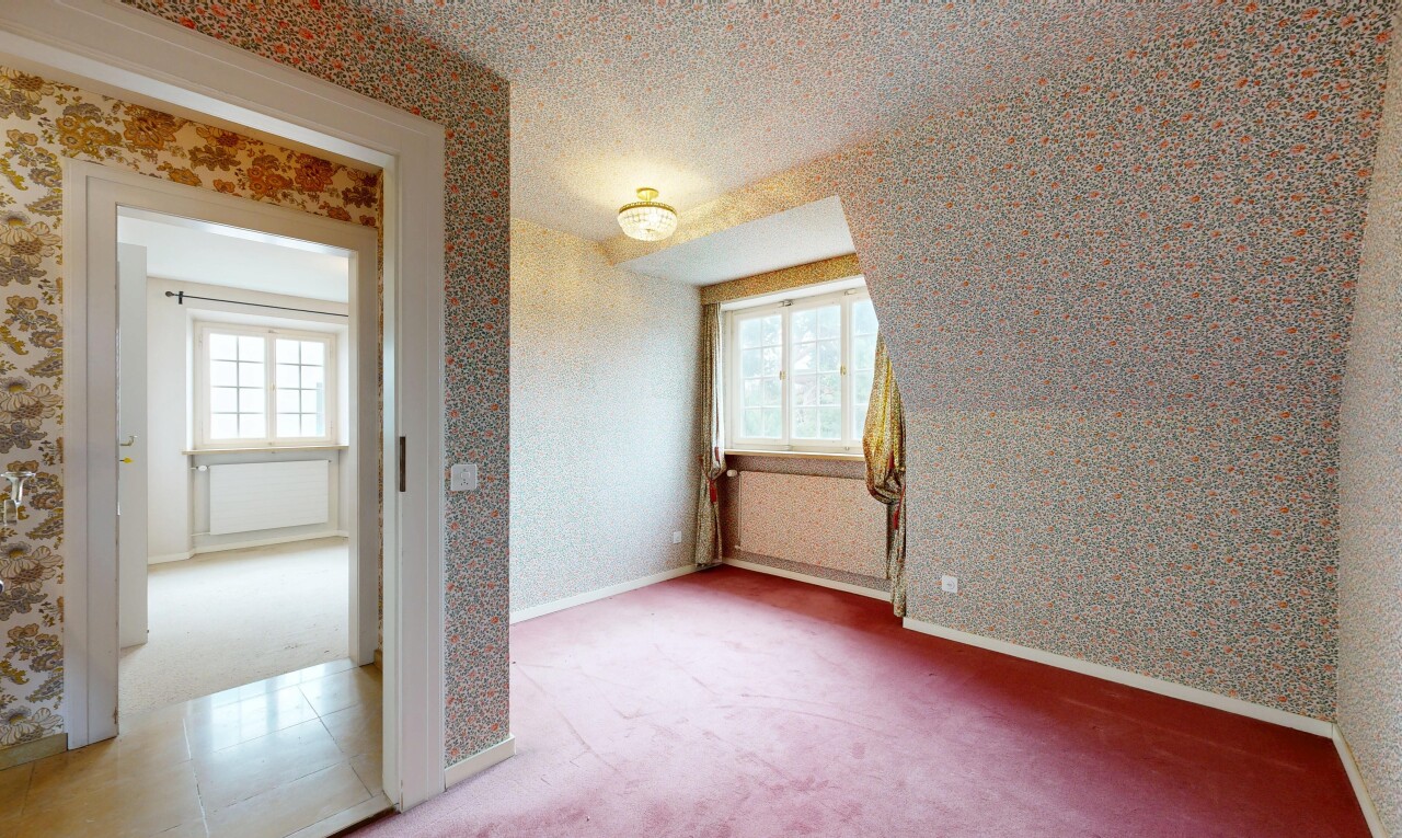 leerer raum mit tapetenwand, wallpaper wall, teppich, carpet, und natürliches licht