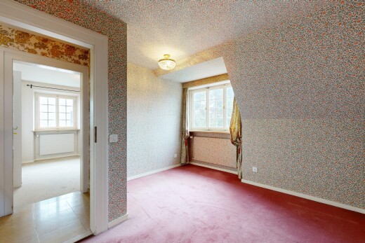leerer raum mit tapetenwand, wallpaper wall, teppich, carpet, und natürliches licht