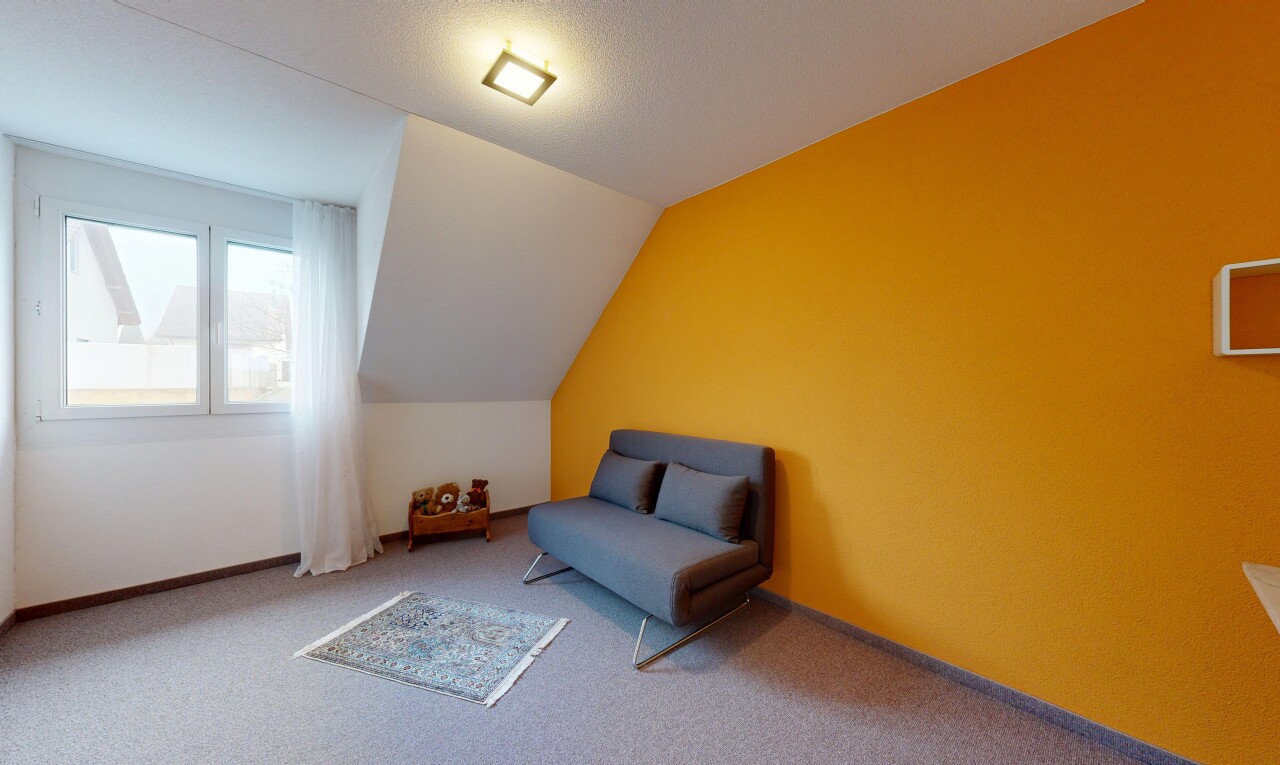 salon avec plafond voûté, vaulted ceiling, moquette, carpet, et lumière naturelle