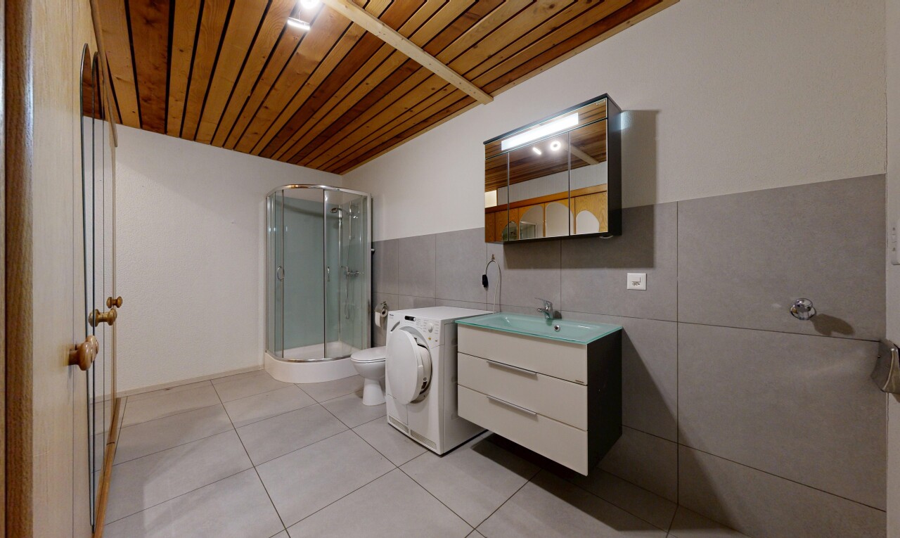 salle de bains avec douche, lavabo (ou coiffeuse selon le contexte), salle de bain complète, miroir, et toilette