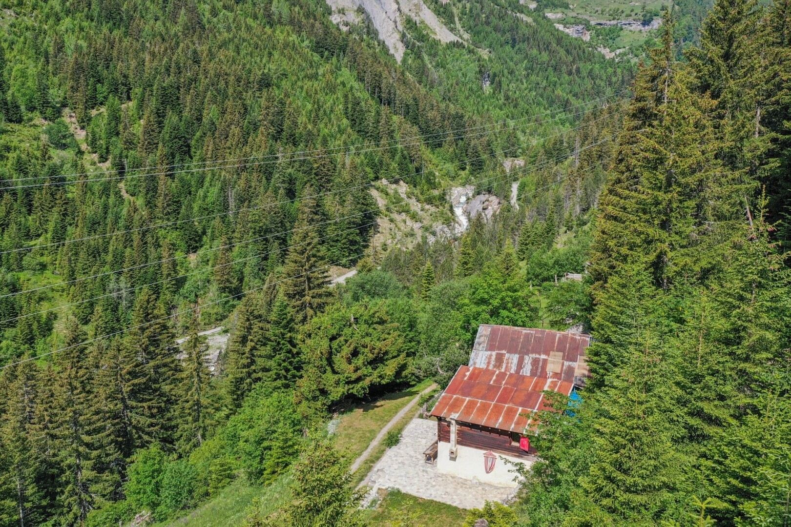 jardin avec vue sur la forêt, forest view, et aerial view