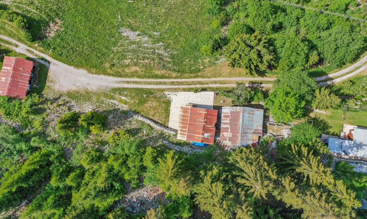 jardin avec aerial view