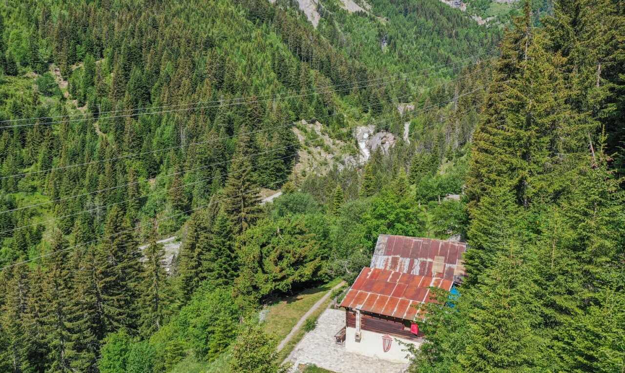 jardin avec vue sur la forêt, forest view, et aerial view