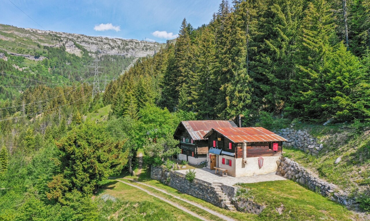 façade avec pelouse, property visible, vue sur la forêt, forest view, et day time