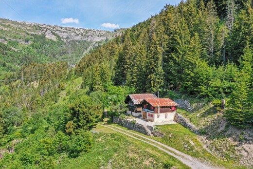 vue sur la montagne avec vue sur la forêt, forest view, property visible, et day time