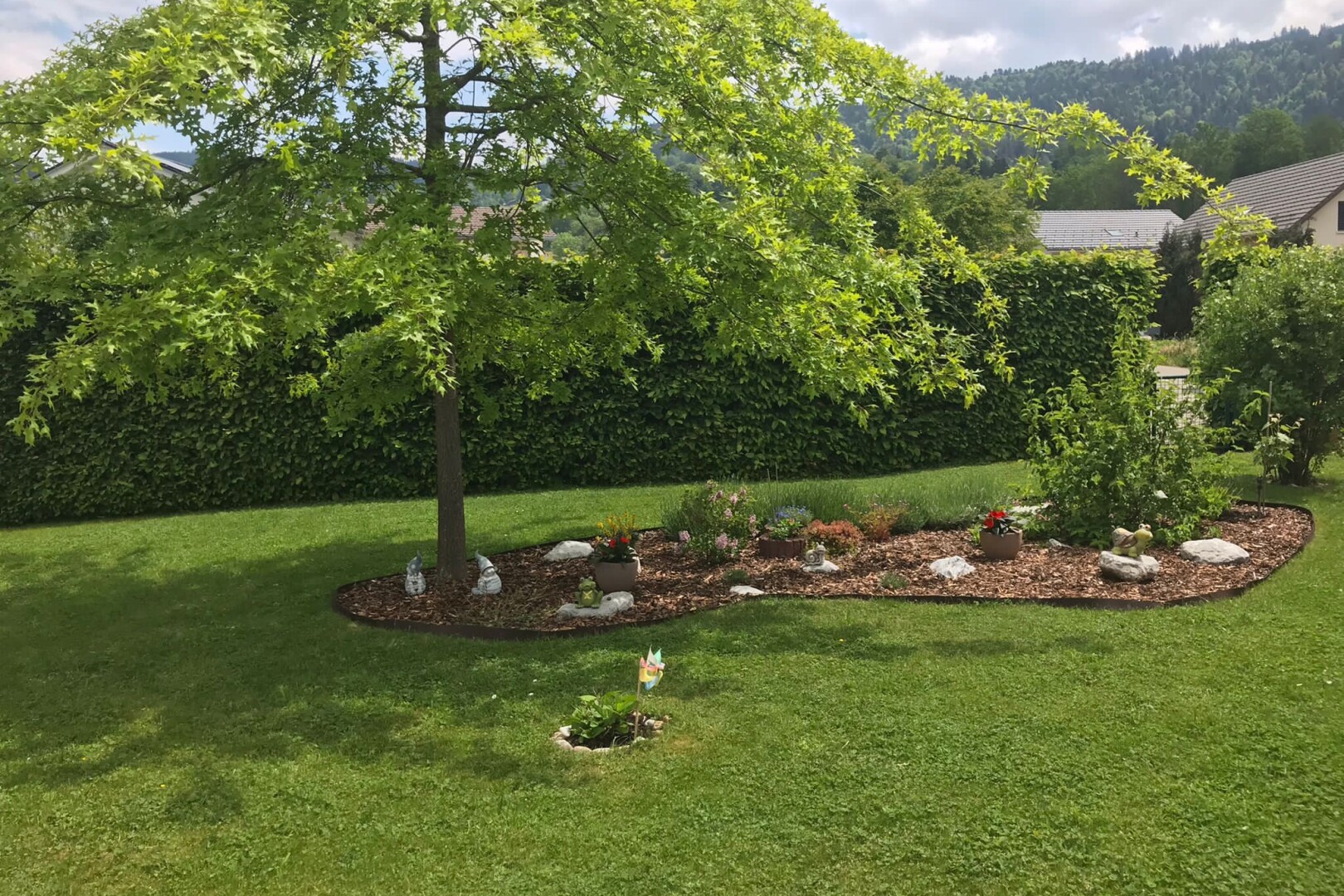 jardin avec pelouse et overcast