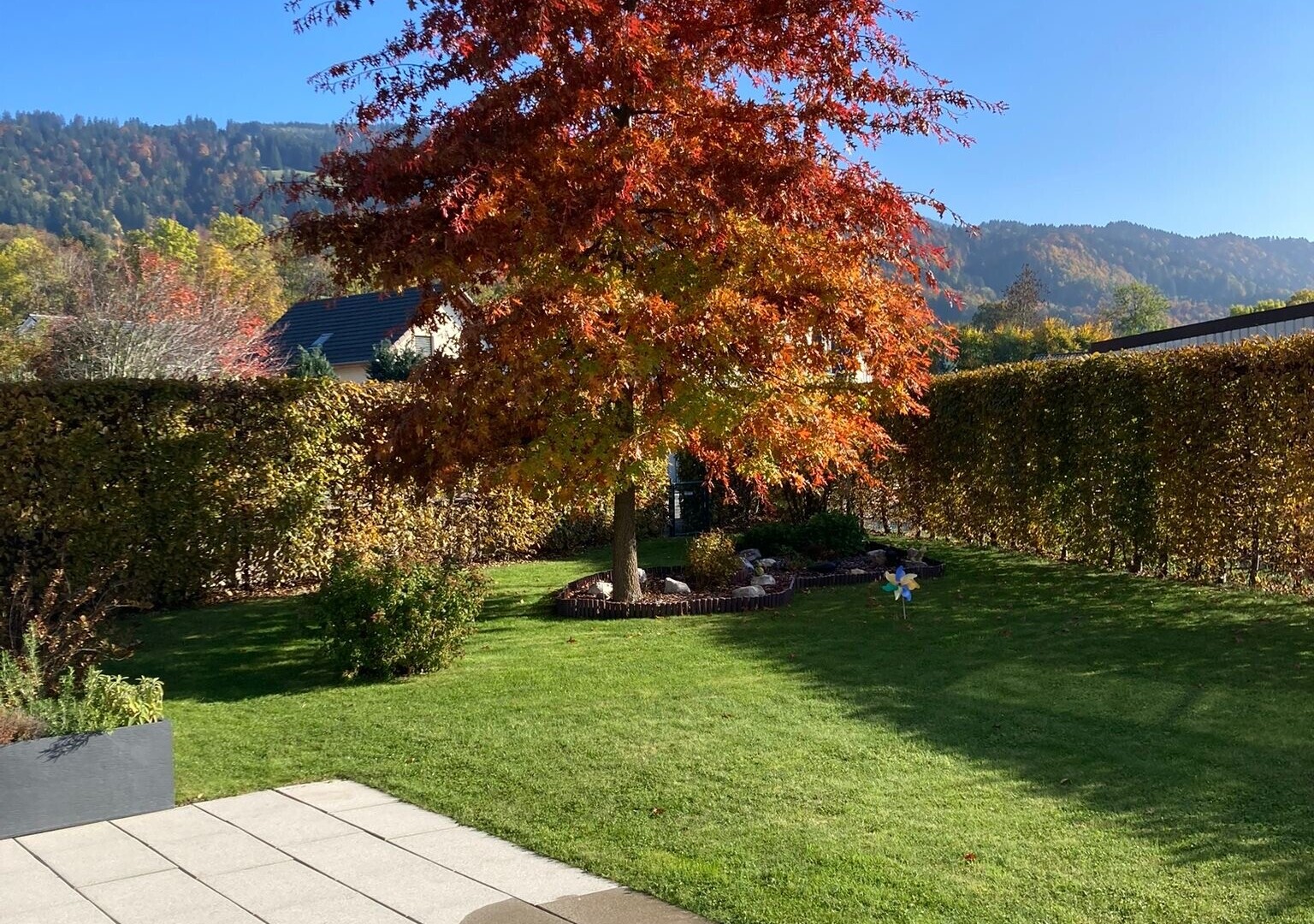 jardin avec day time, pelouse, et from property