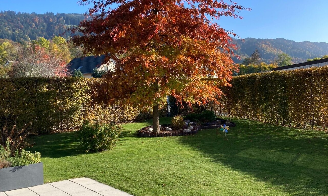 jardin avec day time, pelouse, et from property