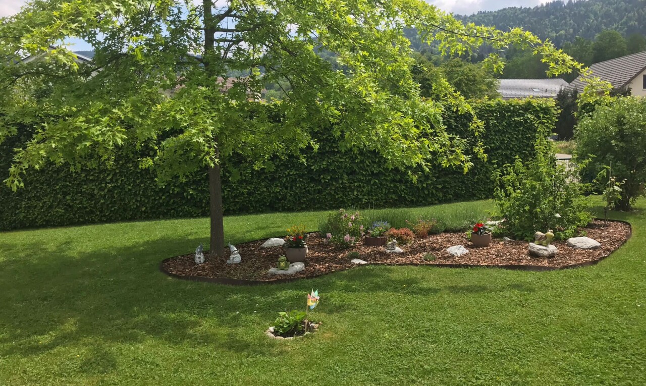 jardin avec pelouse et overcast