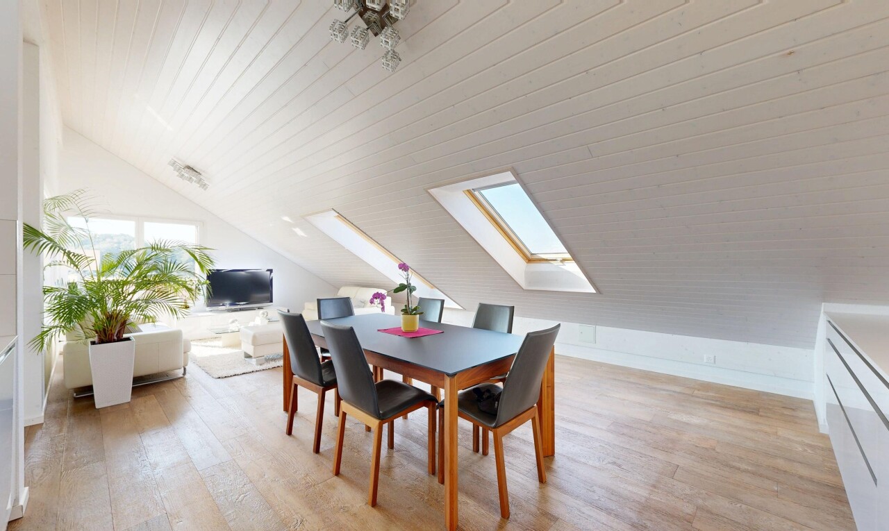 salon / salle à manger avec vaulted ceiling, plafond voûté, low ceiling, plafond bas, et puits de lumière