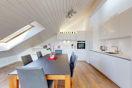 cuisine avec puits de lumière, flat panel cabinets, armoires à panneau plat, vaulted ceiling, et plafond voûté